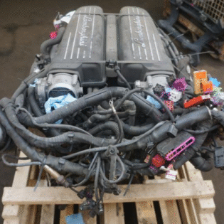 2010 Lamborghini Engine